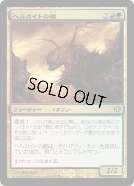 画像1: ヘルカイトの雛/Hellkite Hatchling (CON) (1)
