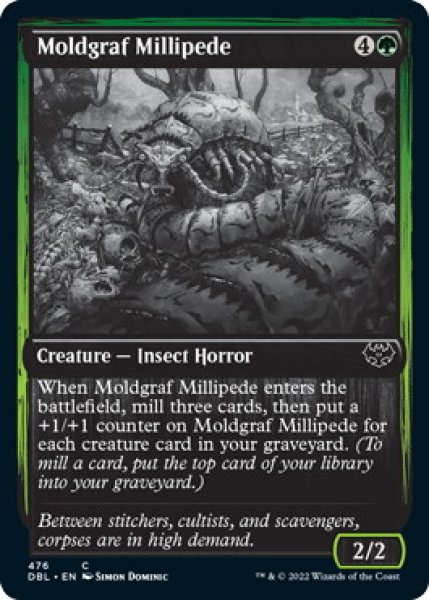 画像1: 黴墓のヤスデ/Moldgraf Millipede (DBL) (1)