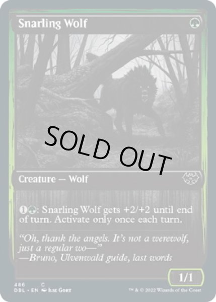 画像1: うなる狼/Snarling Wolf (DBL) (1)