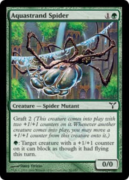 画像1: 水辺の蜘蛛/Aquastrand Spider(DIS)《Foil》 (1)