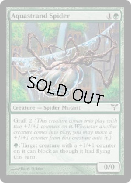 画像1: 水辺の蜘蛛/Aquastrand Spider(DIS)《Foil》 (1)