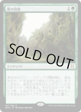 森の知恵/Sylvan Library (EMA)《Foil》 - ジョニーのお店 Magic the