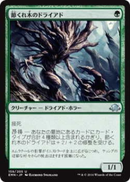 画像1: 節くれ木のドライアド/Gnarlwood Dryad (EMN)《Foil》 (1)