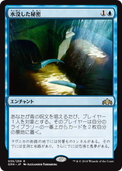 画像1: 水没した秘密/Drowned Secrets (GRN) (1)