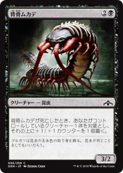 画像1: 背骨ムカデ/Spinal Centipede (GRN)《Foil》 (1)