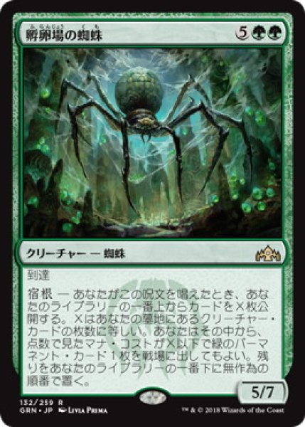 画像1: 孵卵場の蜘蛛/Hatchery Spider (GRN) (1)