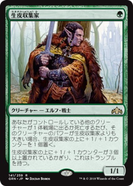 画像1: 生皮収集家/Pelt Collector (GRN) (1)