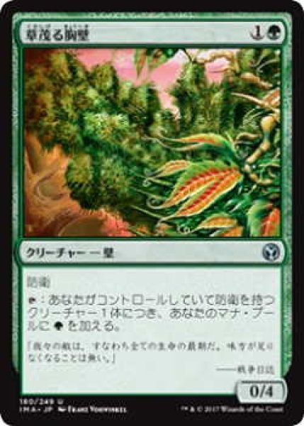 画像1: 草茂る胸壁/Overgrown Battlement (IMA)《Foil》 (1)