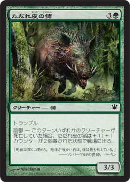 画像1: ただれ皮の猪/Festerhide Boar (ISD)《Foil》 (1)