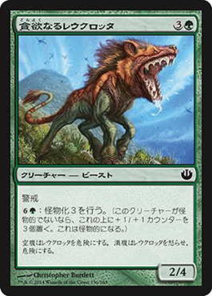 画像1: 貪欲なるレウクロッタ/Ravenous Leucrocota (JOU)《Foil》 (1)