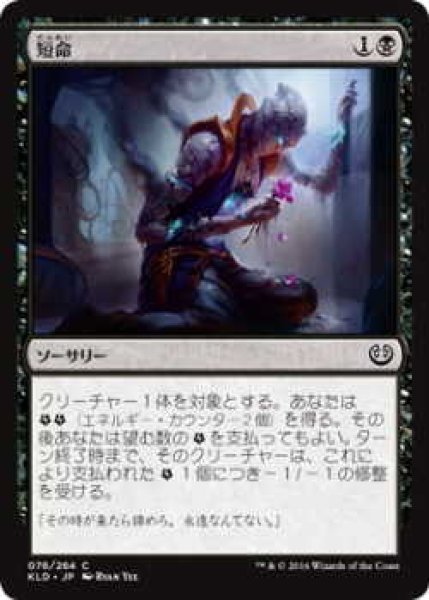 画像1: 短命/Die Young (KLD)《Foil》 (1)