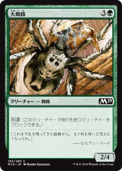 画像1: 大蜘蛛/Giant Spider (M19) (1)