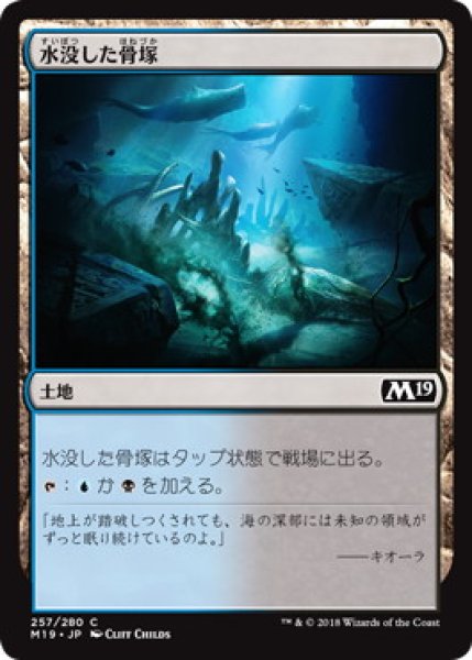 画像1: 水没した骨塚/Submerged Boneyard (M19) (1)