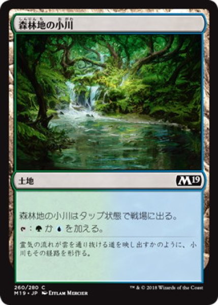 画像1: 森林地の小川/Woodland Stream (M19) (1)