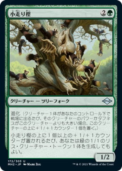 画像1: 小走り樫/Scurry Oak (MH2) (1)