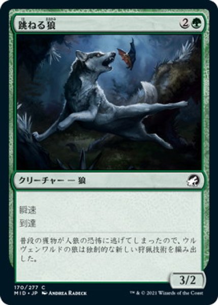 画像1: 跳ねる狼/Bounding Wolf (MID)《Foil》 (1)