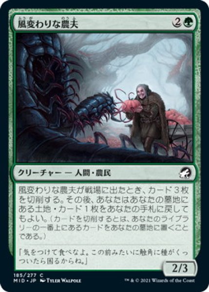画像1: 風変わりな農夫/Eccentric Farmer (MID) (1)