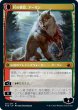 画像2: 群れの希望、アーリン/Arlinn, the Pack's Hope (MID)《Foil》 (2)