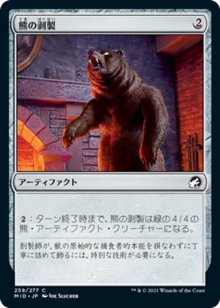 画像1: 熊の剥製/Stuffed Bear (MID) (1)