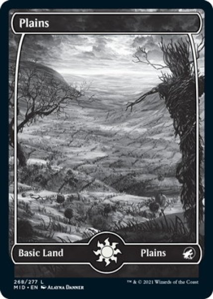 画像1: 平地/Plains 【Ver.1】 (MID)《Foil》 (1)