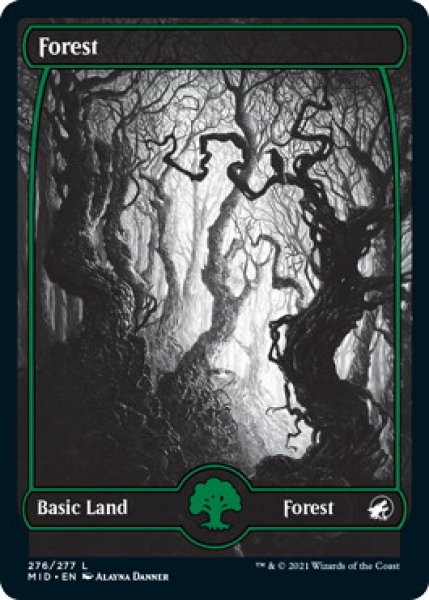 画像1: 森/Forest 【Ver.1】 (MID)《Foil》 (1)