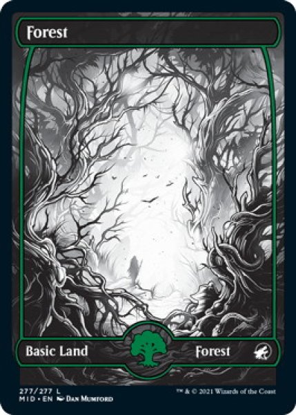 画像1: 森/Forest 【Ver.2】 (MID)《Foil》 (1)
