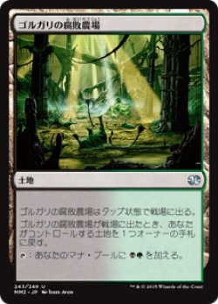 画像1: ゴルガリの腐敗農場/Golgari Rot Farm (MM2)《Foil》 (1)