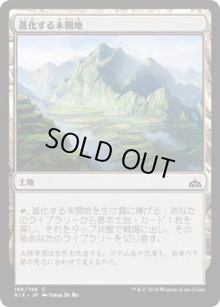 画像1: 進化する未開地/Evolving Wilds (RIX)《Foil》 (1)