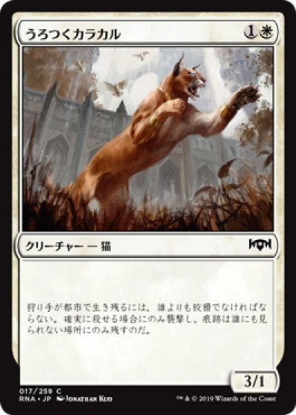 画像1: うろつくカラカル/Prowling Caracal (RNA)《Foil》 (1)