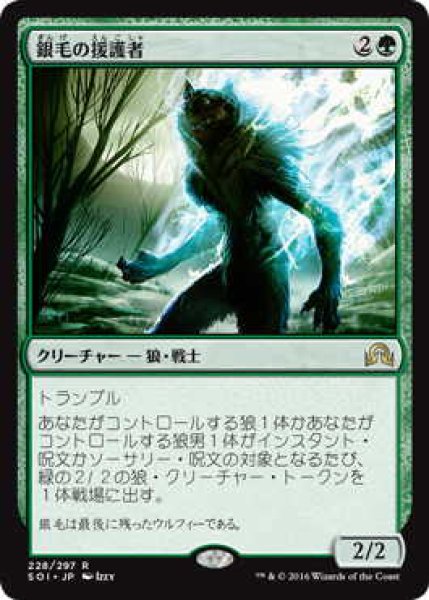 画像1: 銀毛の援護者/Silverfur Partisan (SOI)《Foil》 (1)