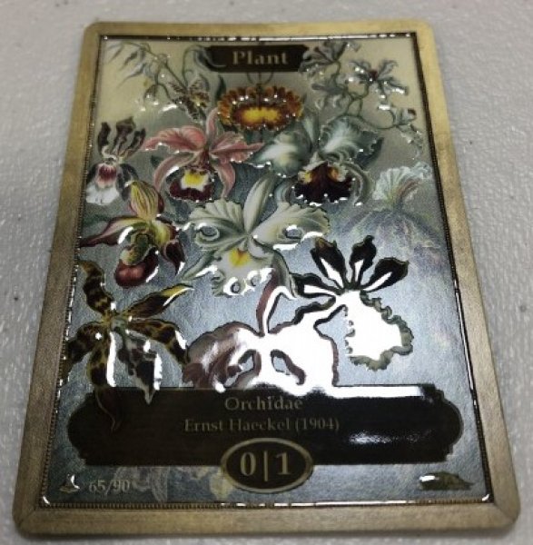 画像2: 植物/Plant (CLASSIC ART TOKEN MARBLE)《Premium》 (2)