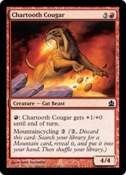 画像1: 黒焦げ牙のクーガー/Chartooth Cougar (CMD) (1)