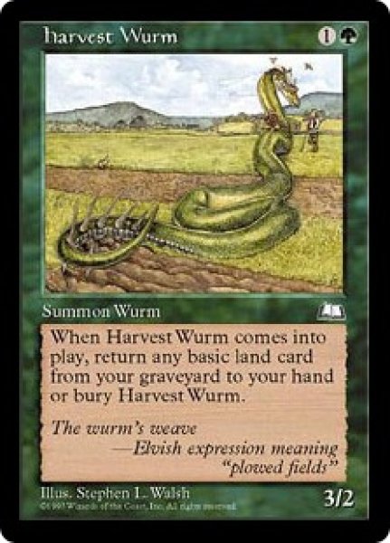 画像1: 収穫のワーム/Harvest Wurm (WTH) (1)