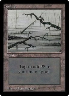 基本土地 - ジョニーのお店 Magic the Gathering