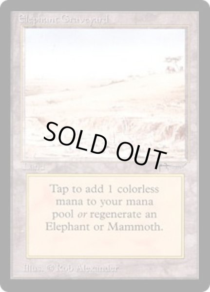 画像1: Elephant Graveyard (ARN) (1)