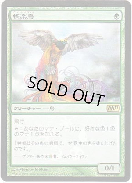 画像1: 極楽鳥/Birds of Paradise (Buy a Box) (1)