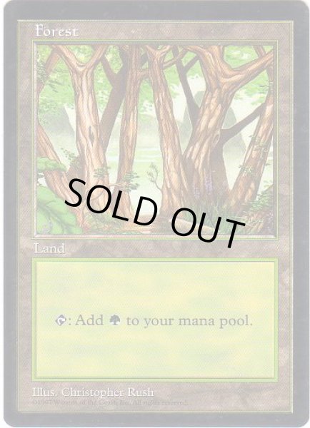 画像1: 森/Forest (APAC Land 青) (1)