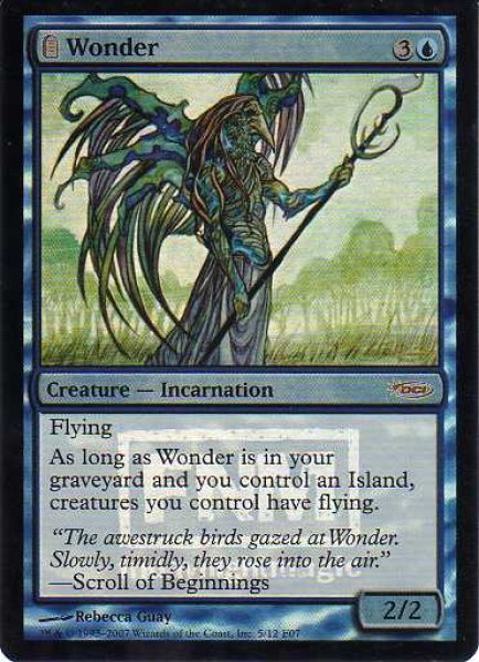 画像1: 不可思議/Wonder (FNM) (1)