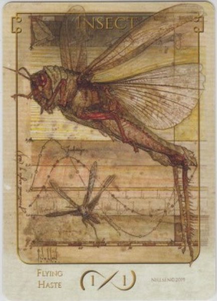 画像1: 昆虫/Insect (Terese Nielsen Token) (1)
