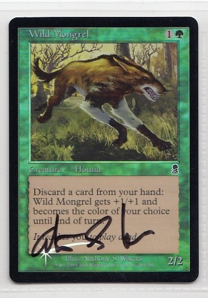 野生の雑種犬/Wild Mongrel (ODY)《Foil》【サインドカード 