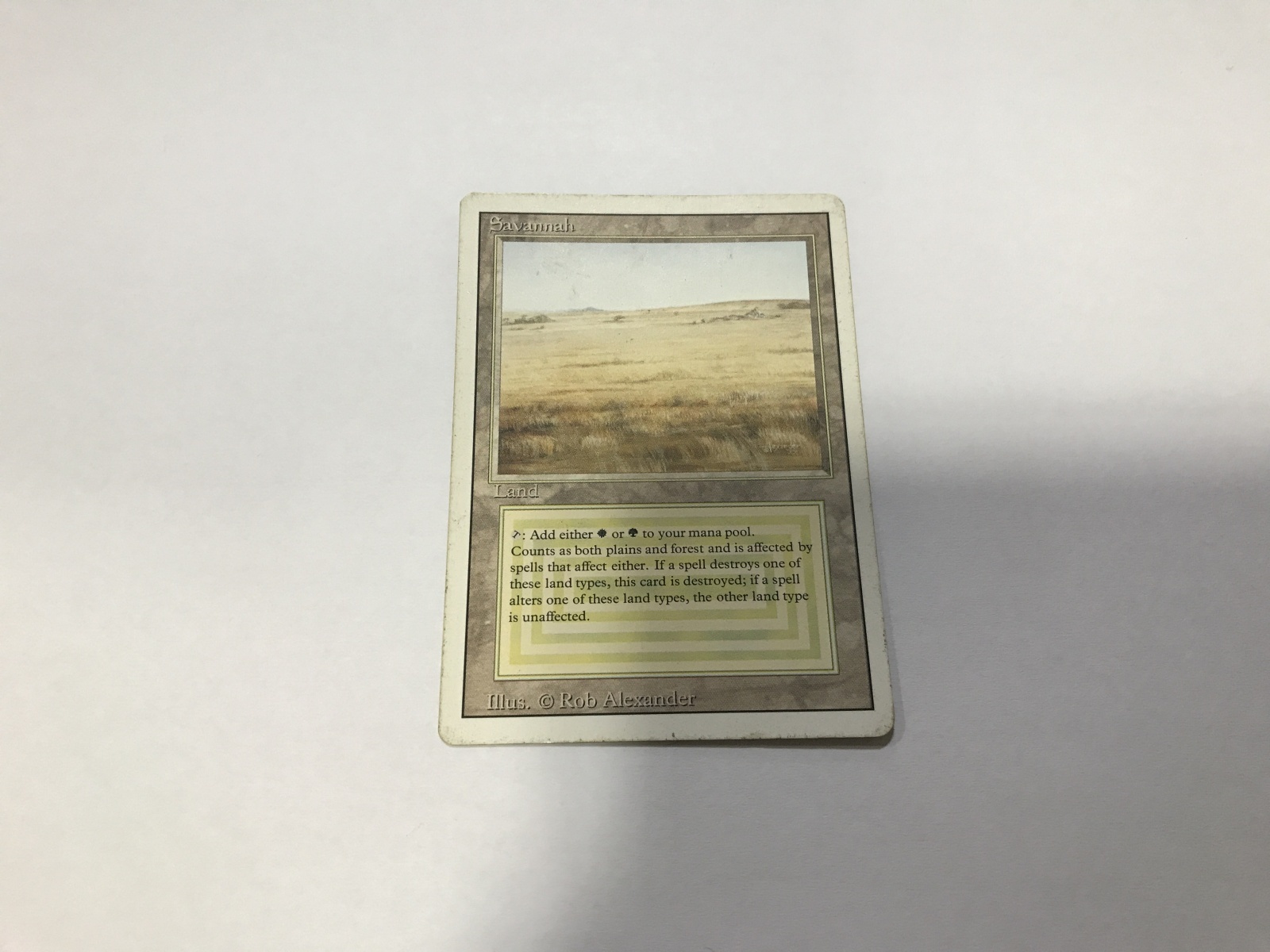 Savannah (3ED)【英語・PLD】【ブラックフライデー セール